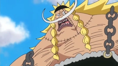 Discuss Everything About One Piece Wiki Fandom