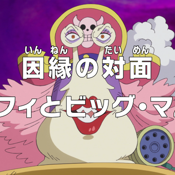 Episode 813 One Piece Wiki Fandom Episode 813 One Piece Wiki Fandom