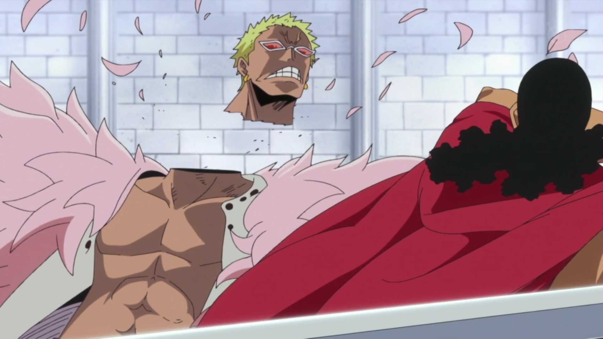 Операция «С.О.П.» | One Piece Wiki | Fandom