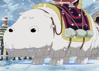 Animal Species Alabasta Saga One Piece Wiki Fandom