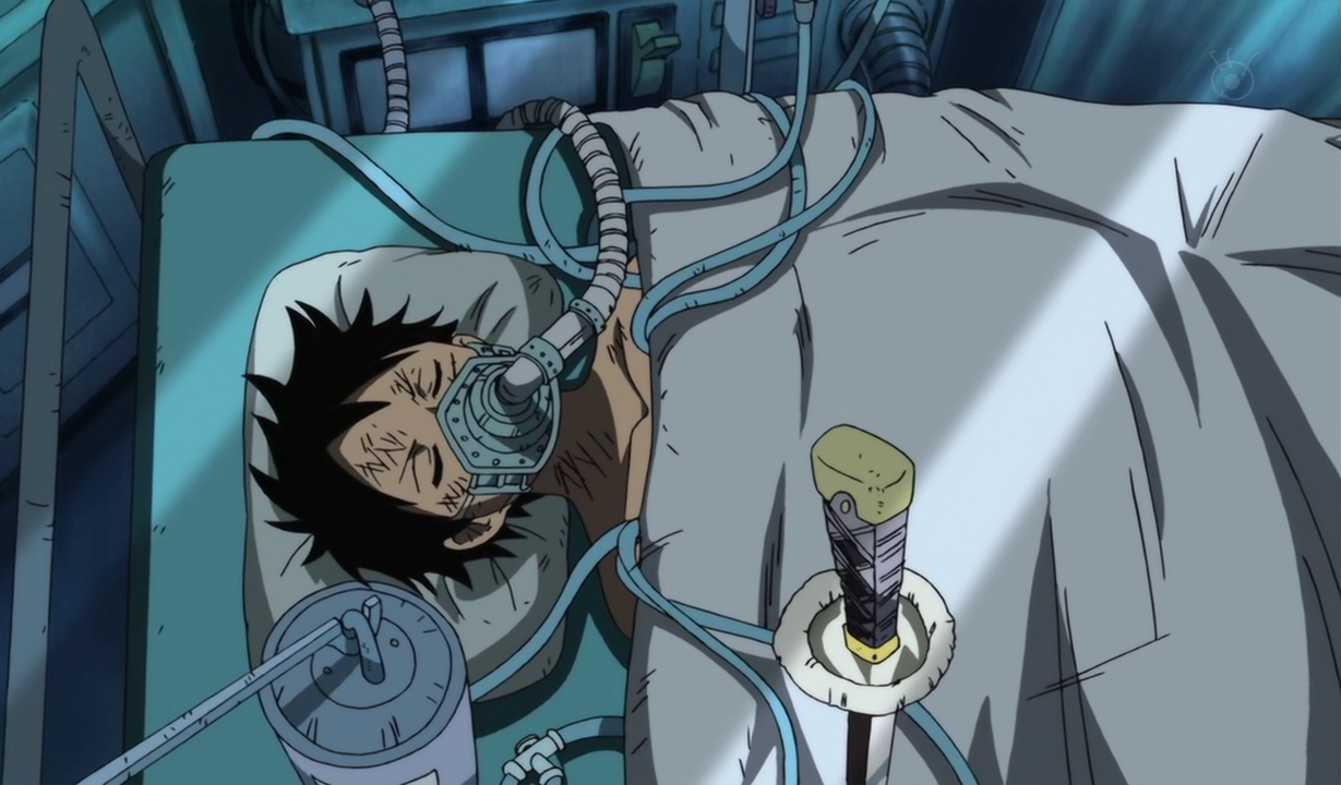 Trafalgar D. Water Law, One Piece Wiki