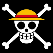 Straw Hat Pirates Portrait