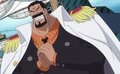 Garp at Age 48