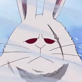 Animal Species Alabasta Saga One Piece Wiki Fandom