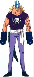 Killer One Piece Wiki Fandom