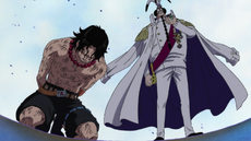 Quién es el más fuerte Luffy o Ace? Duelo de hermanos!