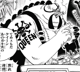 Queen One Piece Encyclopedie Fandom Queen One Piece Encyclopedie Fandom