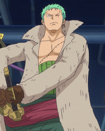 Swordsman One Piece Wiki Fandom