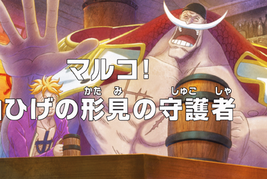One piece episode 889 english subbed hotsell full episode