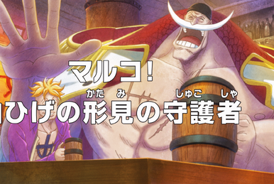 Episode 877 - One Piece - Anime News Network