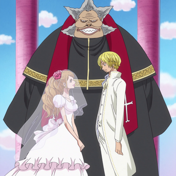 Marriage One Piece Wiki Fandom