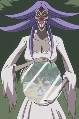 Mira Mira no Mi Infobox