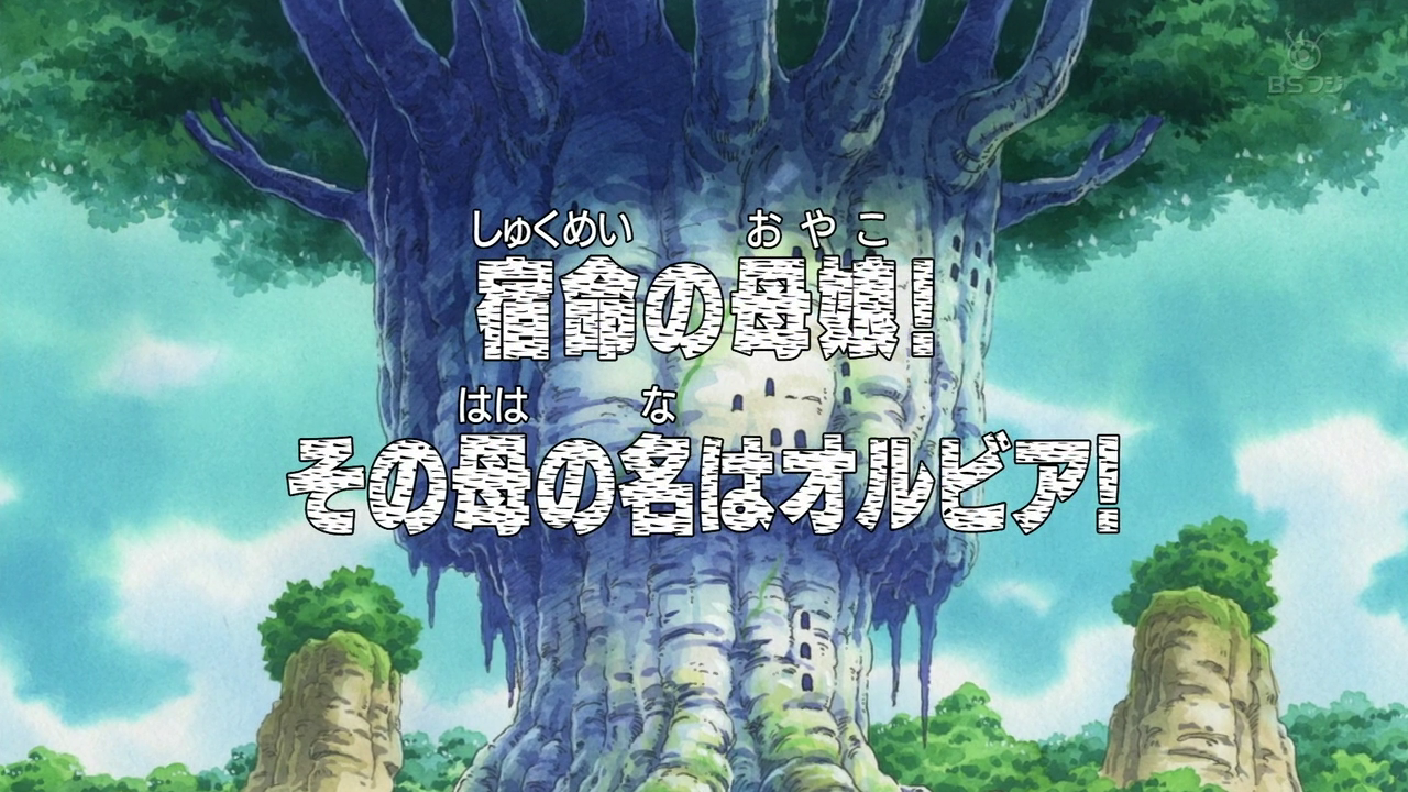 Episódio 311, One Piece Wiki