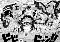 Five Elders Transformations