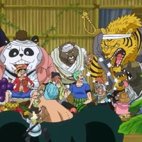 Interes Navodnjavanje Umetak One Piece Kappa Mink Thehoneyscript Com