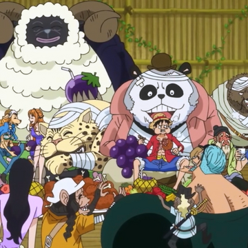 Mink Tribe One Piece Wiki Fandom Mink Tribe One Piece Wiki Fandom