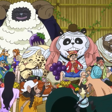 Mink Tribe One Piece Wiki Fandom