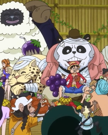 Mink Tribe One Piece Wiki Fandom