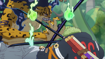 Zoro Faces Lucci