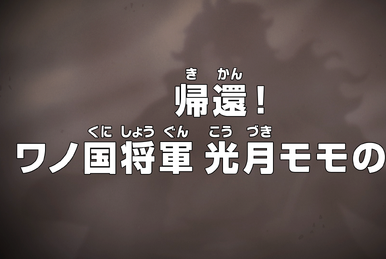 One Piece Episode 1077 - The Curtain Falls! The Winner, Straw Hat Luffy!