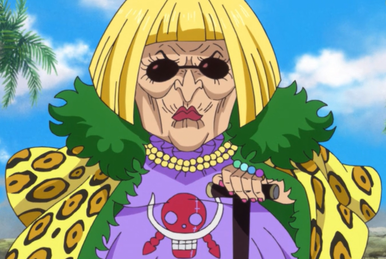 Stussy | One Piece Wiki | Fandom