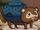 Inu Inu no Mi, modèle Tanuki