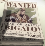 Bigalo's Wanted Poster.png