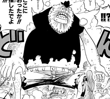 Will of D., One Piece Wiki