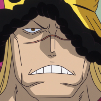 Grande Flotte Du Chapeau De Paille One Piece Encyclopedie Fandom