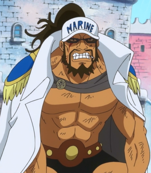 Vice Admirals and Admirals Sleeves : r/OnePiece