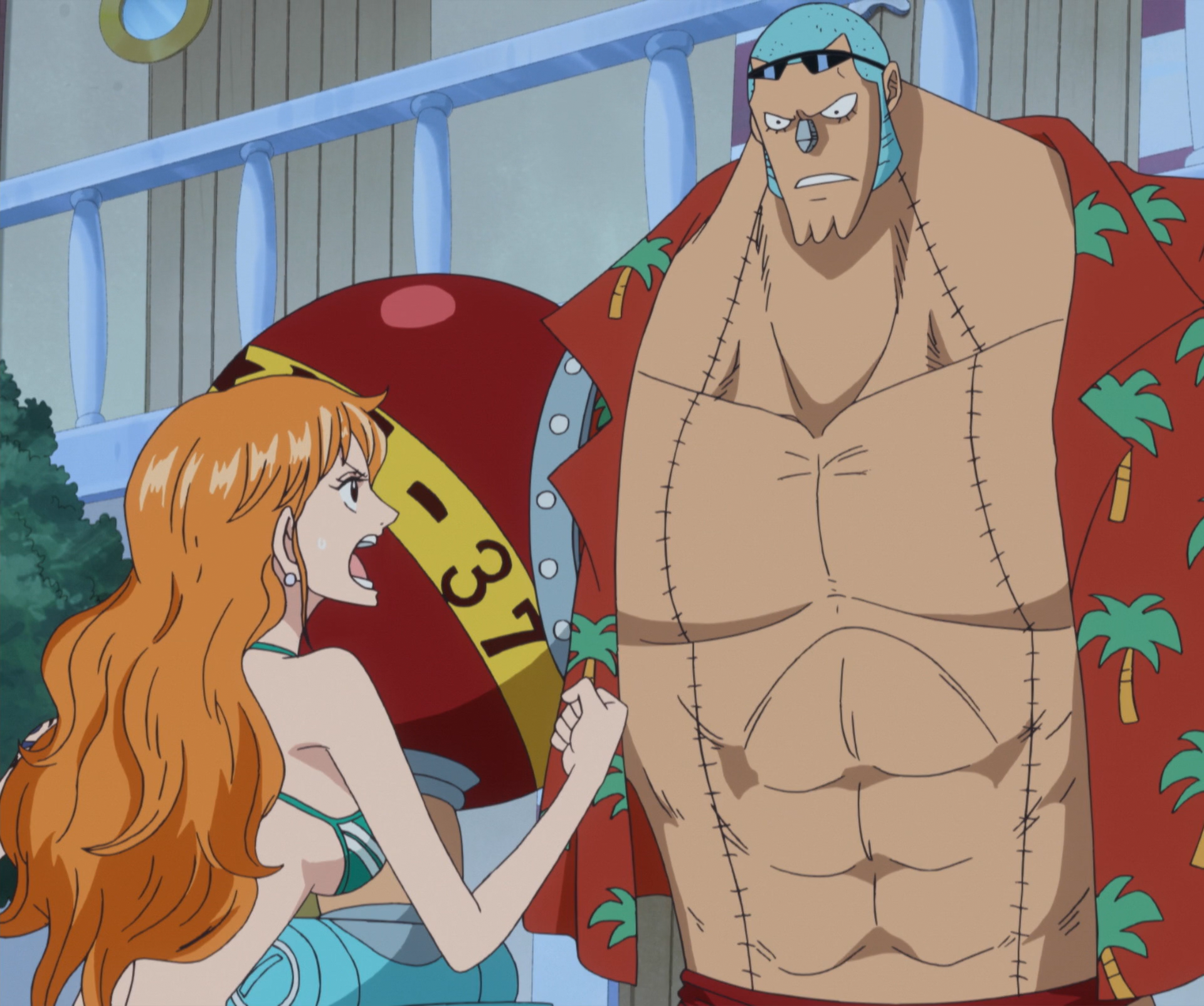 one piece time skip franky