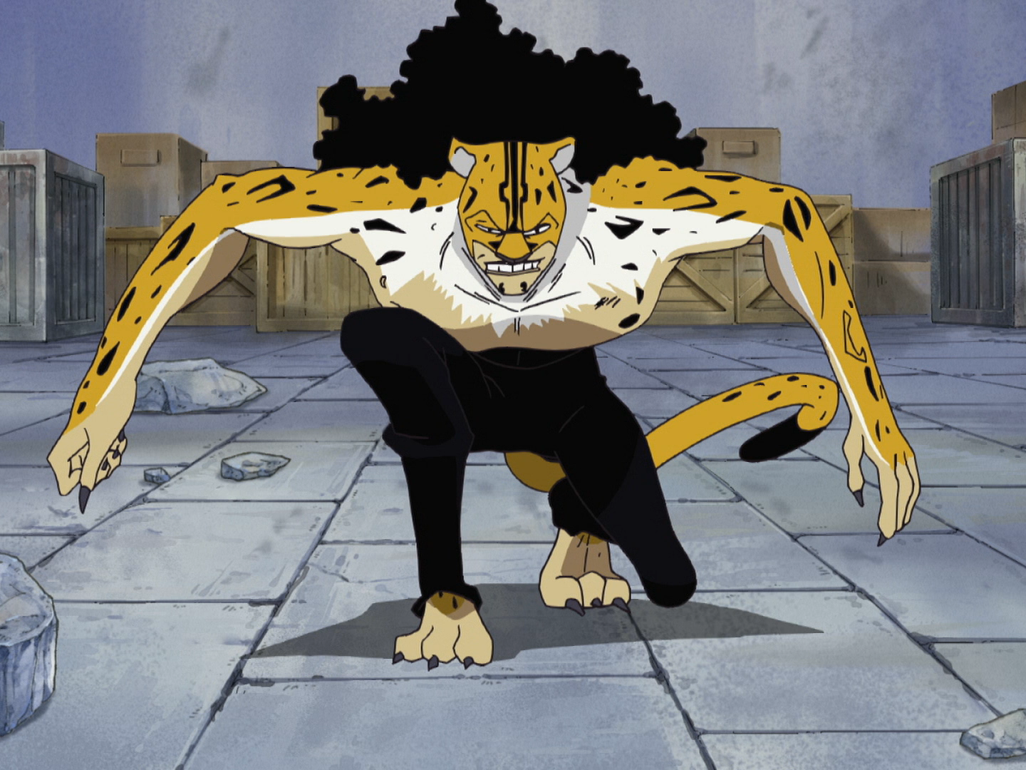 Neko Neko no mi A akuma no mi de Rob lucci (One Piece) 