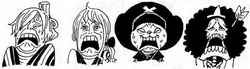 Sanji Nami Chopper Brook eh