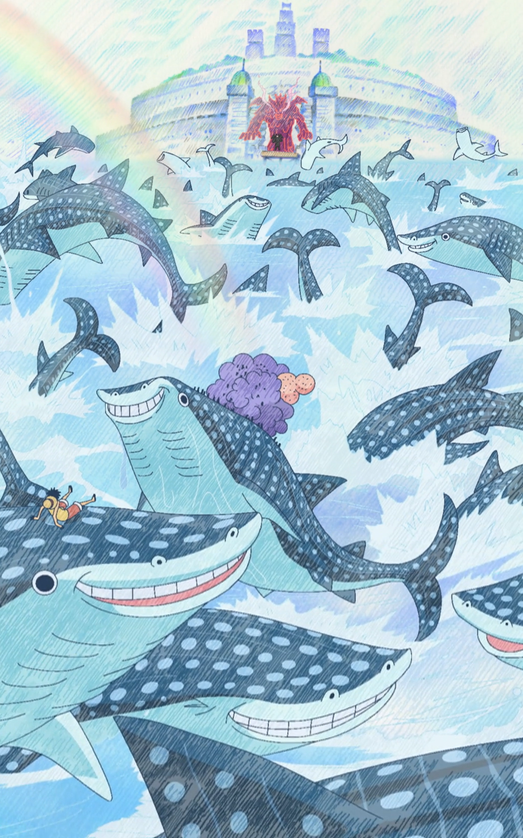 Whale 2025 shark jinbei