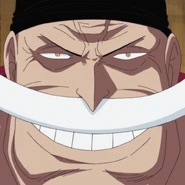 72歲時白鬍子的臉部特寫