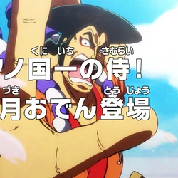 Category Episodes Directed By Aya Komaki One Piece Wiki Fandom