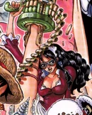 Baby 5 One Piece Wiki Fandom