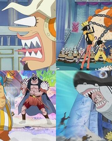 Episodio 533 One Piece Wiki Fandom