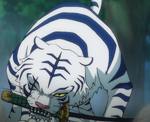 Giant White Tiger