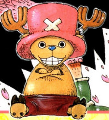 Tony Tony Chopper/History/During and After the Timeskip, One Piece Wiki