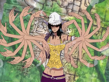 Hana Hana no Mi - Nico Robin - Akuma no Mi - One Piece - Luffy