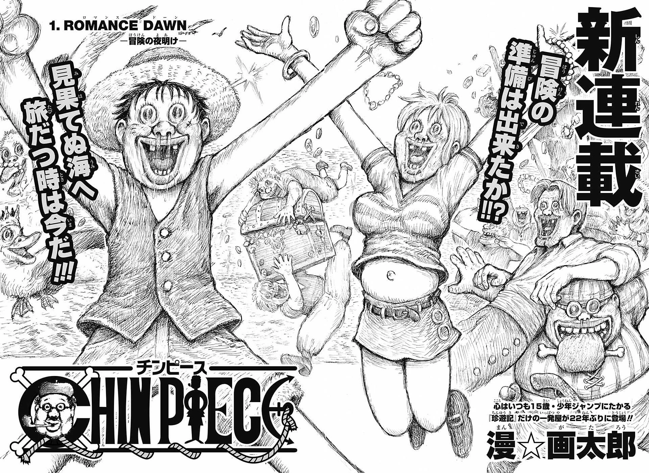 Chin Piece | One Piece Wiki | Fandom