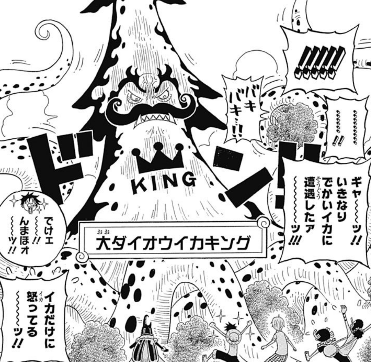 King, One Piece Wiki, Fandom