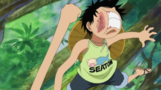 Luffy inexperto