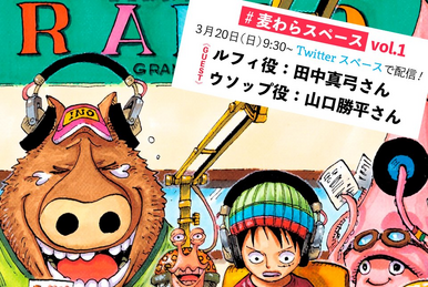Straw Hat Space | One Piece Wiki | Fandom