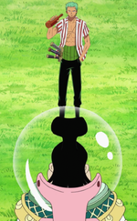 Zoro Encounters Charloss