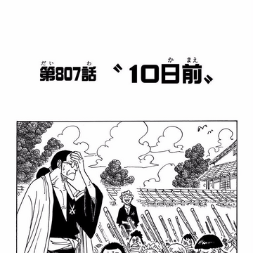 Chapter 807 One Piece Wiki Fandom