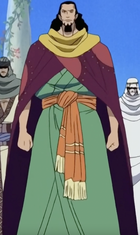 Nefertari Cobra One Piece Wiki Fandom Nefertari Cobra One Piece Wiki Fandom