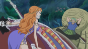 Conflit entre Nami et Zoro