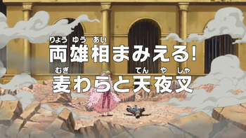 Episódio 743, One Piece Wiki